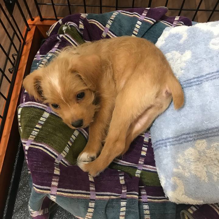 895e19f8 bc40 4d49 a7d5 0a36154ca484 1517406143422