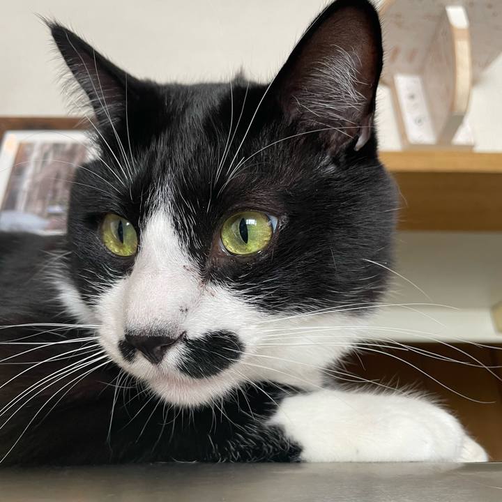 895e3648 9477 4a43 aa46 35f74572b427 1675216545985