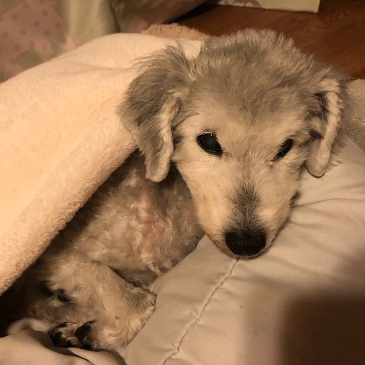 895e7622 3328 4ed8 9e73 8dd9a63305f0 1639962660335