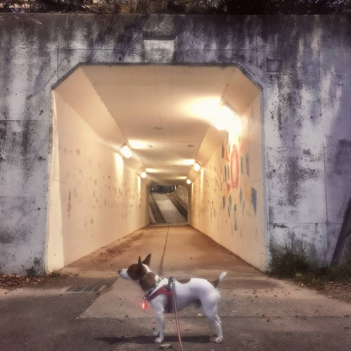 895e7891 6f56 4b64 9eca eb9ea4f9818f 1519485193299