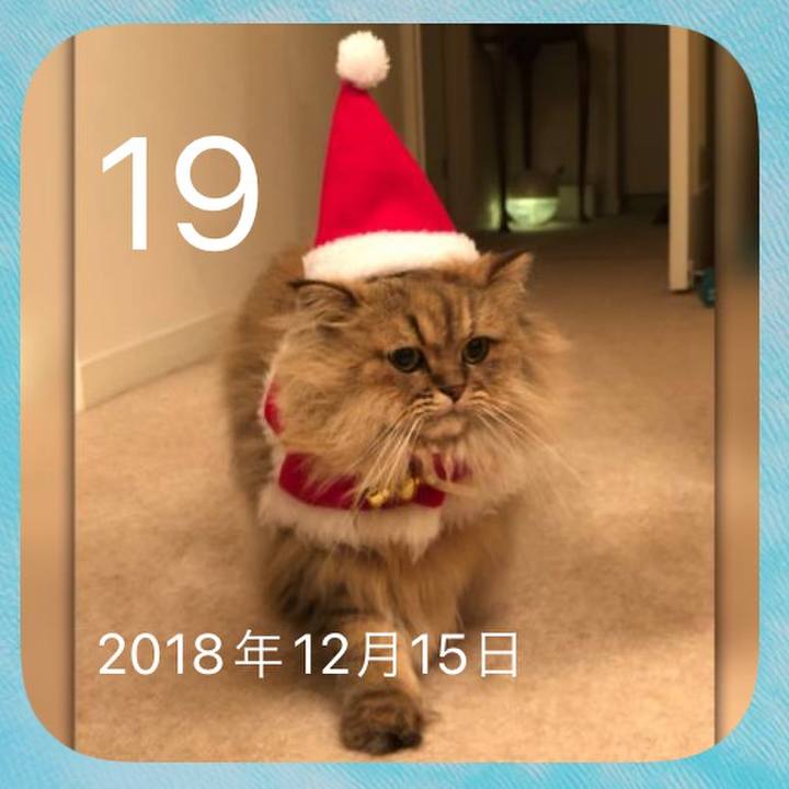 895edd5b f67b 4c1c b79c e69eb21415ed 1639873513999