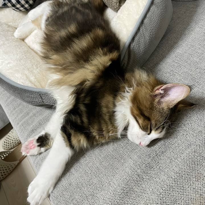 895ede15 36fb 4f4d 8e15 cb42edef5e75 1635592199580