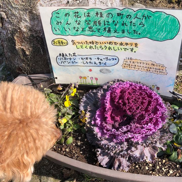 895f0149 9563 4633 8725 d3fc6eb92730 1549851698913