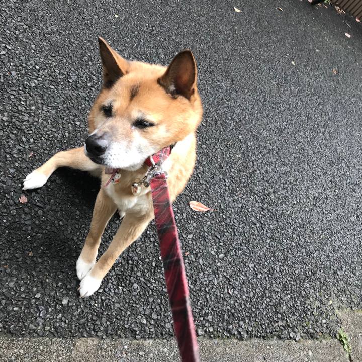 895f0ef9 4f48 4cdd 990b e4d5946cb6ad 1520638094949