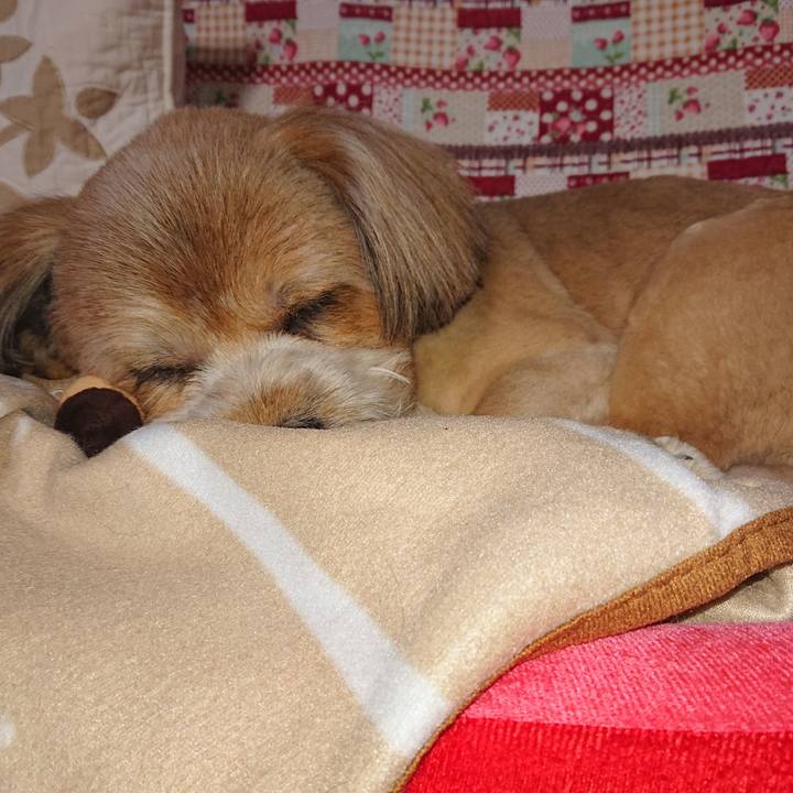 895f262e 169b 4c46 b650 c0d2601499cc 1603462727485