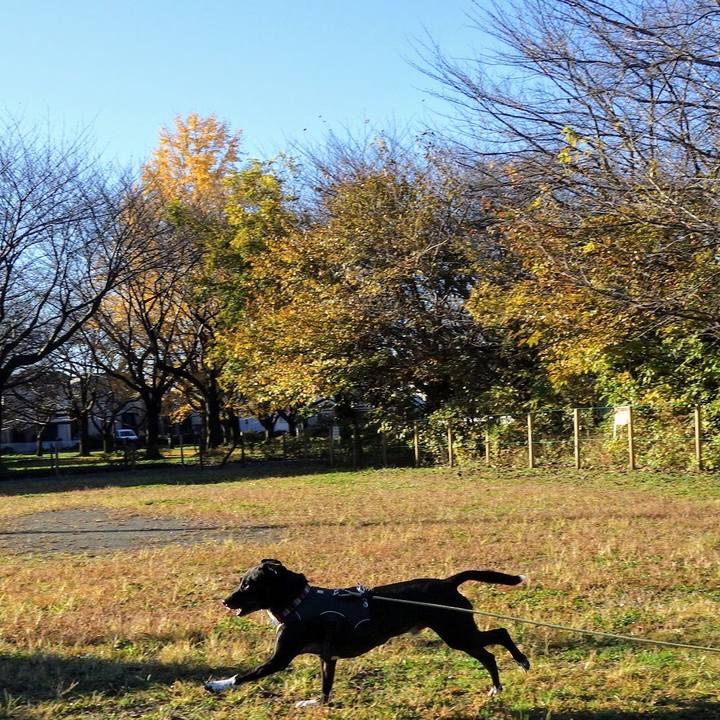 895f2fc5 7f6f 41fc ad10 7b0bade31ef2 1637975989823