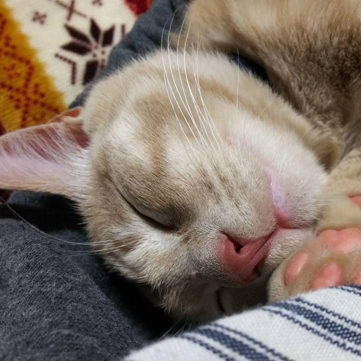 895f3a08 ee30 4aea 9ec9 60f453b3d512 1546425508036