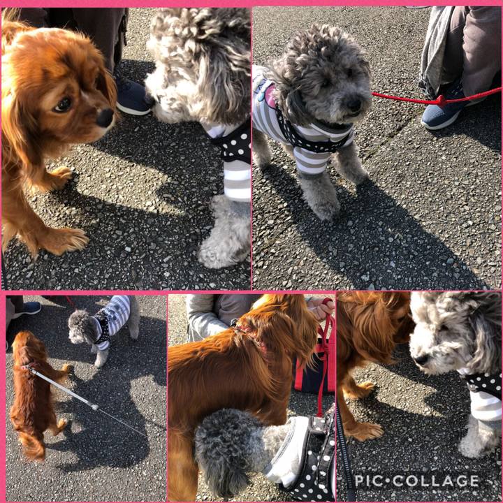 895f3f81 2109 4a1c a1ff 9120122f5beb 1584789043484