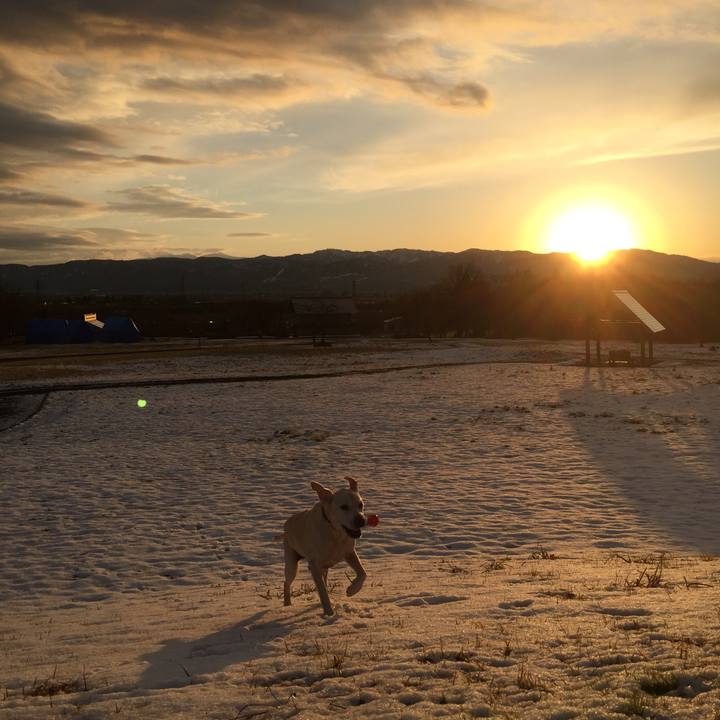 895f94f9 31d6 498d 82b2 5adff195445a 1562724768760