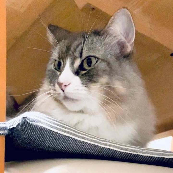 895f9c41 052e 49b4 a038 886b1800ec51 1750733245154