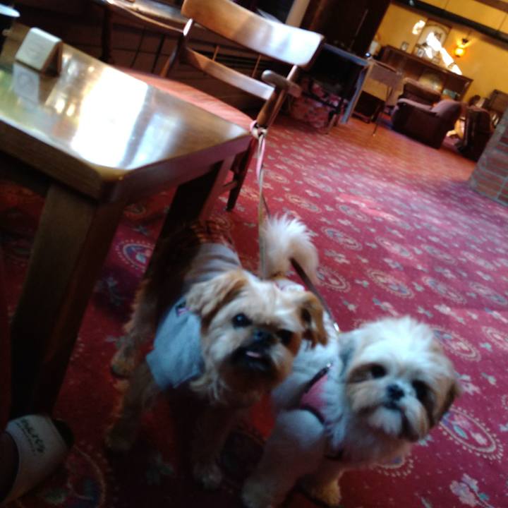 895fdd3d fd86 4120 b84d 174dcbe83aa0 1603668063916