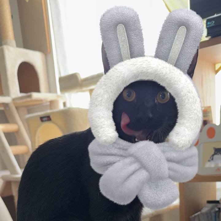 895ff74b e982 4753 b75c f4919a81208c 1730427965848