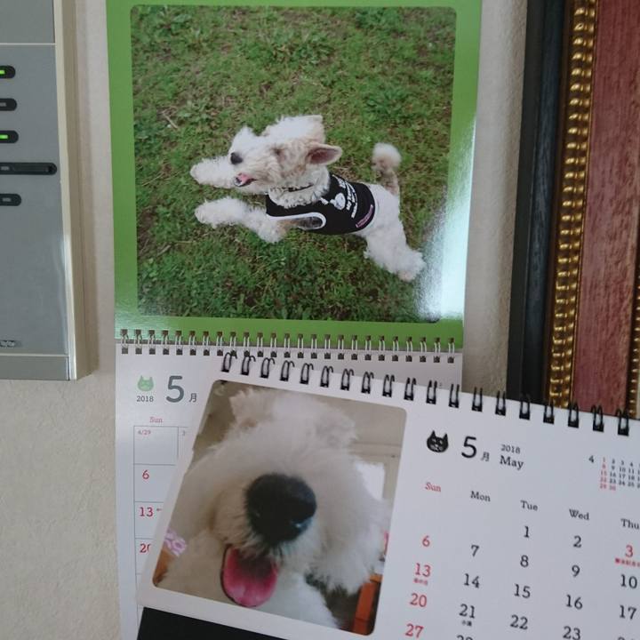 89600dee 55ec 4a54 be7a 80f86d34278f 1525228197003