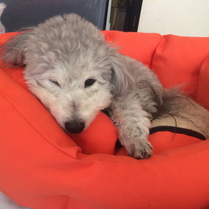 89603389 aca3 4894 a642 ed6b54429896 1517136968646