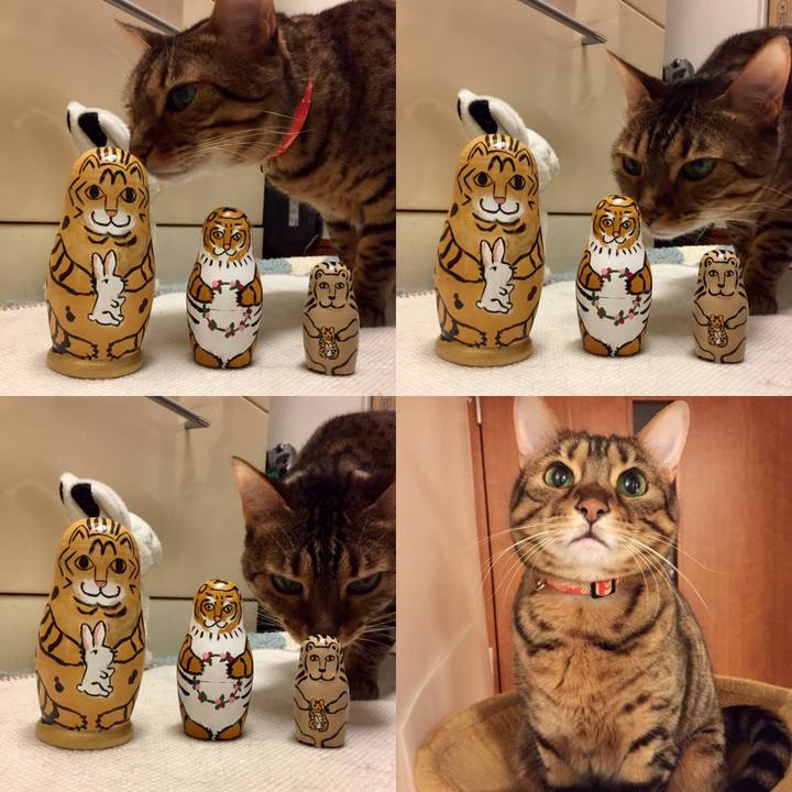 89607d66 1c0f 442d b2e8 a6c18ca6812e 1543704781369