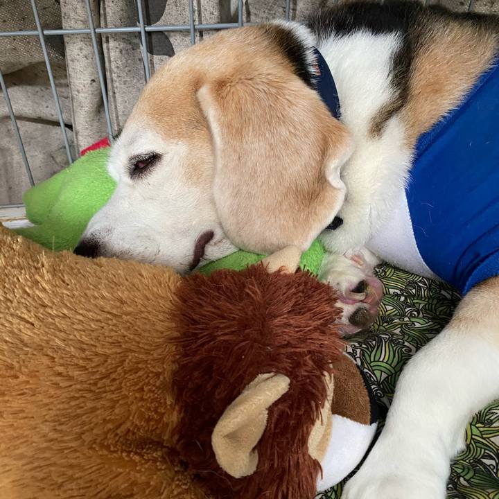 89608440 9633 4a7b 92a1 170a29d7968e 1596166762040