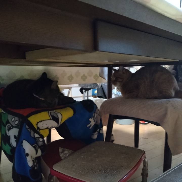 8960c0fb e022 4ee7 8cdc 8f4223f62f81 1667599330454