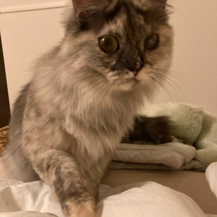 8960ec4c 8873 4288 8c24 cd9651f35860 1743861190544