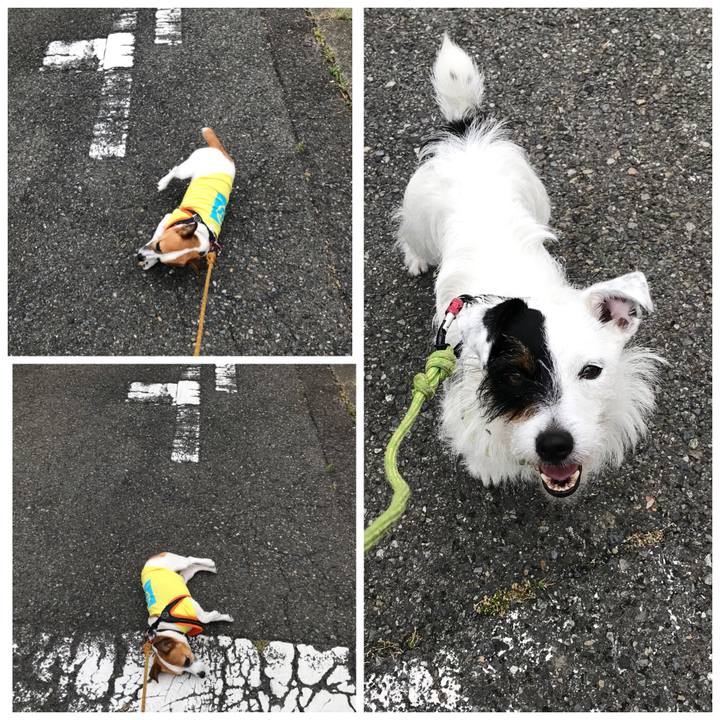 8960f49d 1660 4bc8 8d65 35e722ccc3f9 1527665658998