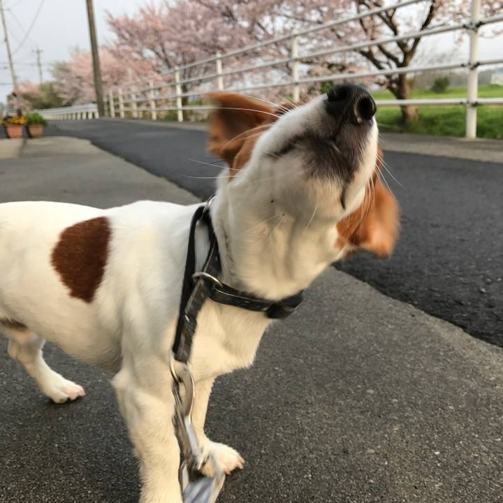 8960fcef 5620 465c b6aa 72206723b97a 1523664498491