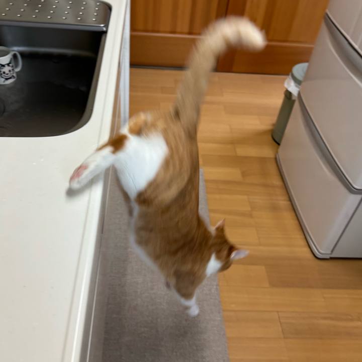 89610c98 4d4b 441d 8c5e 42da3c64af19 1765247713722