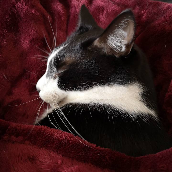 8961198a f200 44e3 b198 6f75830b5040 1545844680106