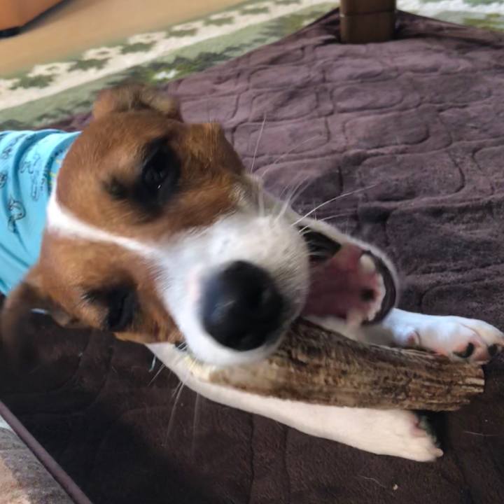 8961318c bd5a 4a3a a191 4f05e98be6f9 1529966966547