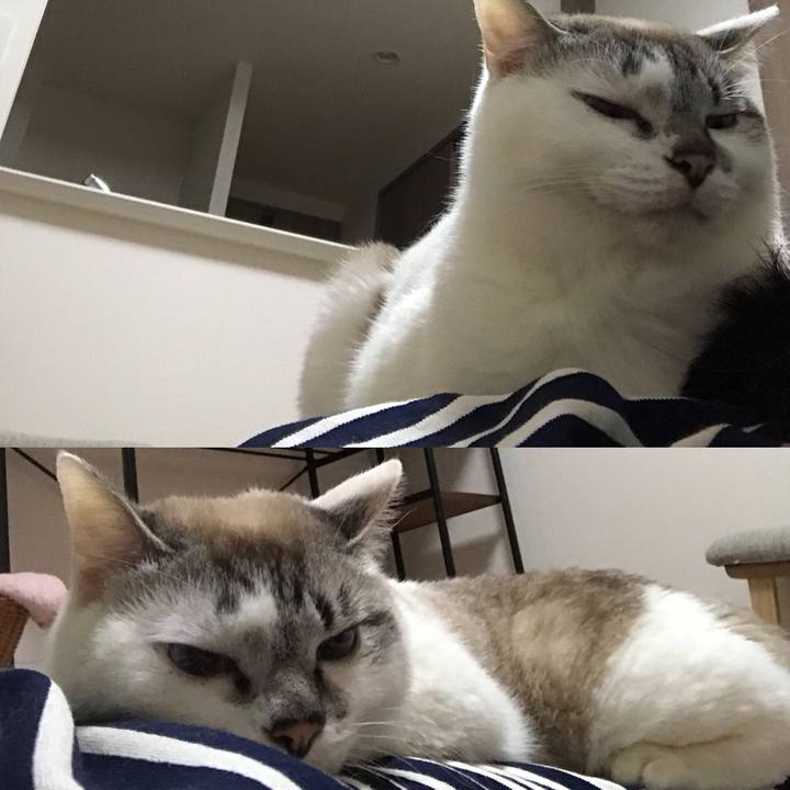 8961542d 706f 4b43 ac02 477fa8ca21bc 1523763543199