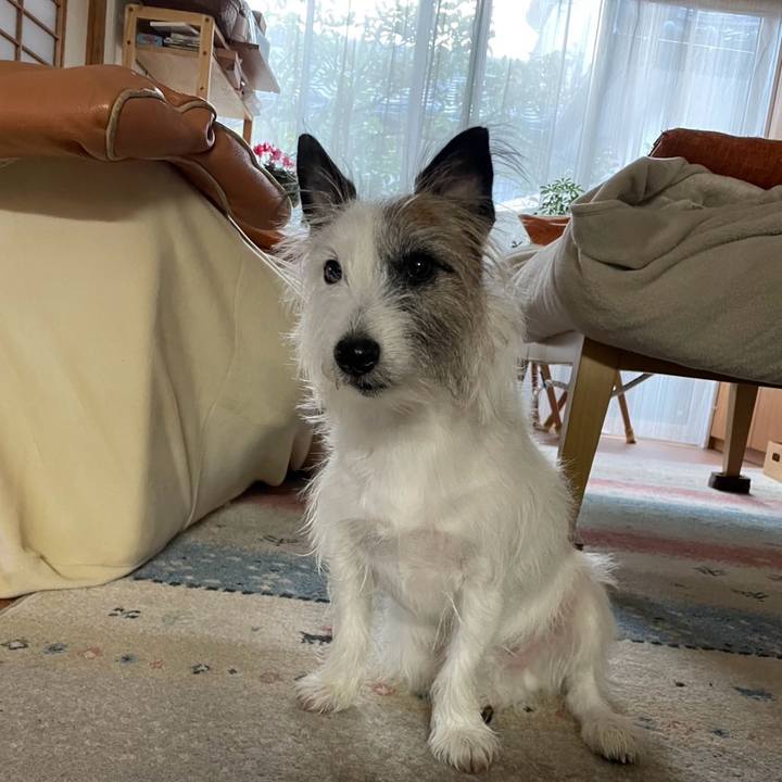 896170b0 781e 4a7e 901e 8b6ff8f604be 1735254839447