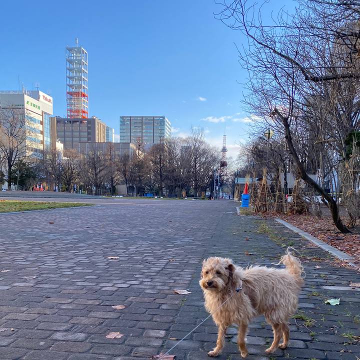 89619ff0 593e 4a01 9dae 9e5e07026c4b 1638581563630