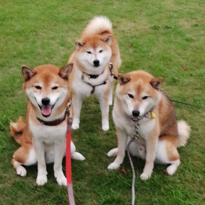 8961b893 790a 4008 b1c9 a05e5d4f7b7b 1662984276290