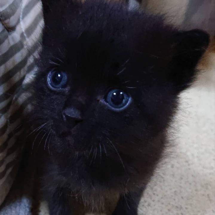 8961c179 5350 4af9 bea0 a4db0cd3fa3d 1592285319076