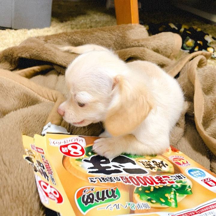 8961ca0b b35f 4a29 af1f 86c26bb77b5e 1592013571368