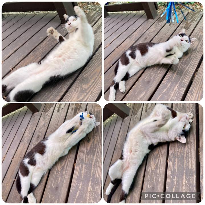 8961eafc dd84 411c 9cba 7d433c2fecdf 1757755067536