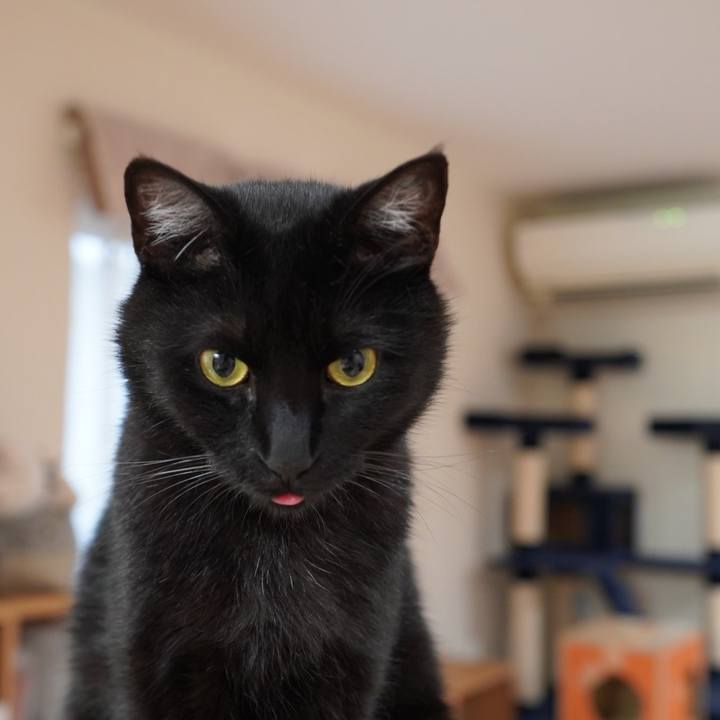 8961f0bc 9e5a 42e8 8cca 00a3ef4e43a9 1591935047177