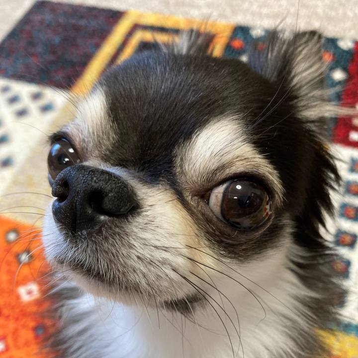 89624d7b e8f9 42d6 89d6 5311f9f6a4c1 1700347787537