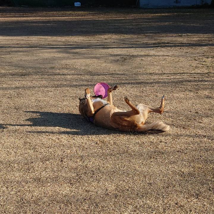 89625f25 ea74 4593 a343 64b0980302e2 1707636434417