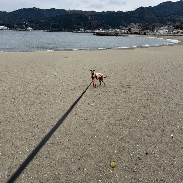 896260fd 7ae1 40c2 93a1 87f44279c773 1771314865987