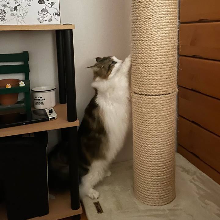 89626222 cf8b 48f6 b8a3 55ec983d931d 1702506613790