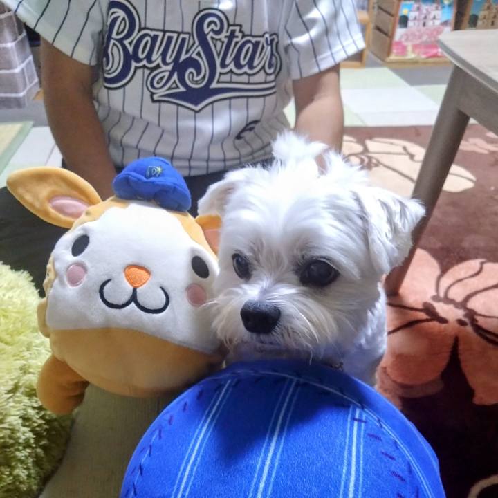 89626aa3 687d 40ca a184 818d93d8660c 1729516244751