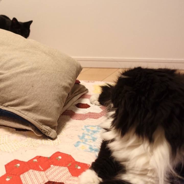 8962734f 9345 48d1 886c d7fb8617ffbe 1534257635700