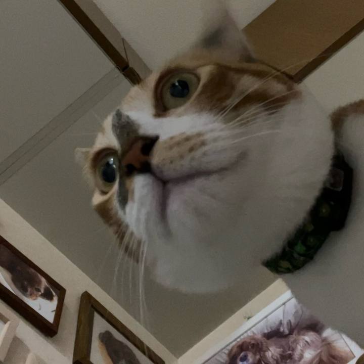 89628e83 5c21 487e b759 642e11d48ce4 1713387926795