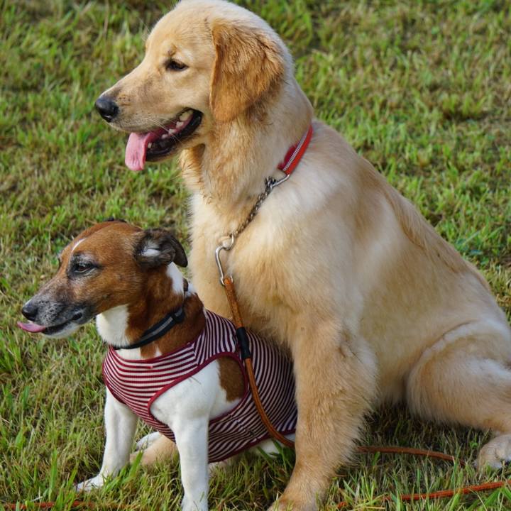 8962bbed 59cd 467a 9075 d249f28b4a56 1598913651663