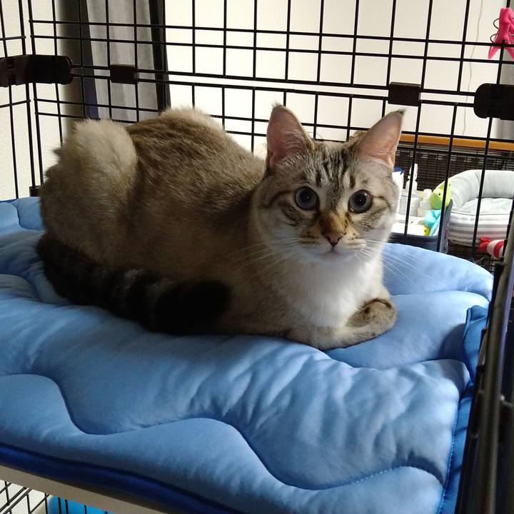 8962c630 fead 49a6 a231 8e4384c438d5 1657107304144