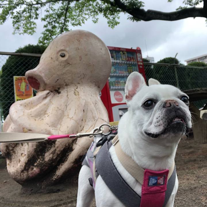 8962f981 23be 4738 95dc d16c5cd756cc 1682837982599