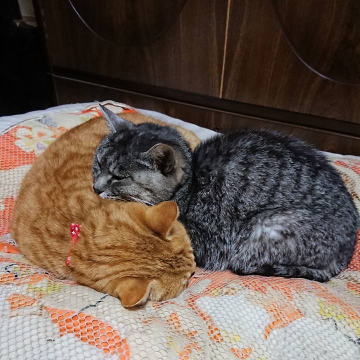 8963499a bc21 4bc2 a0af f2358a8437f8 1578053851372