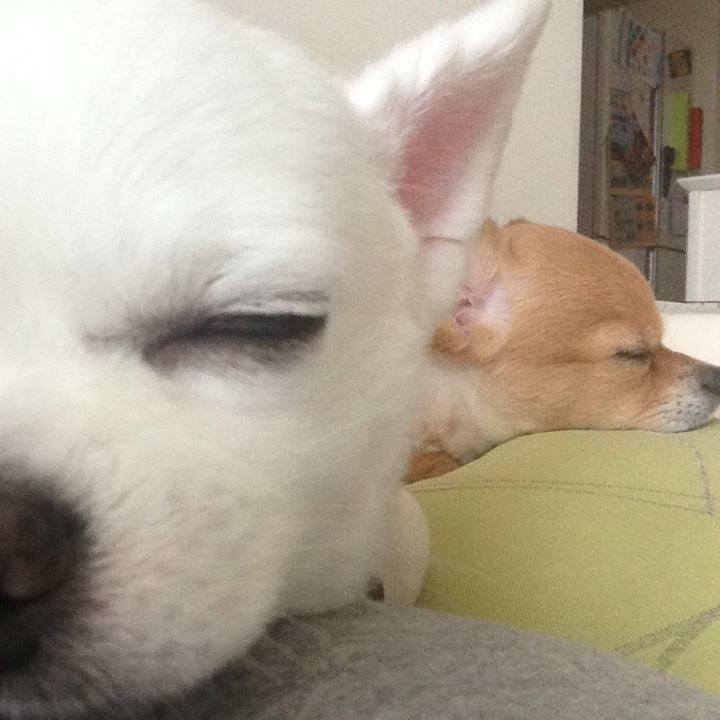 89636e2e f52c 4c42 9d24 432391610d29 1519232995327