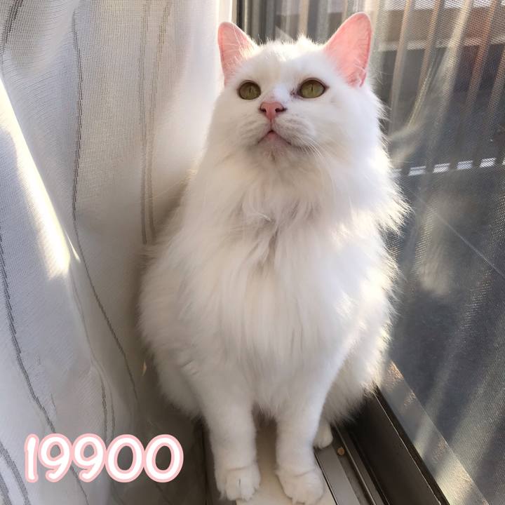 89637018 b2d2 445d 912b a3cf56a802da 1553555286005