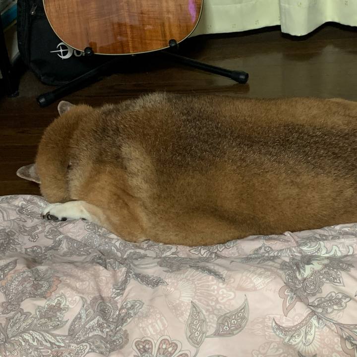 8963da1c e1ff 443b 82da 167eec828295 1631283386323