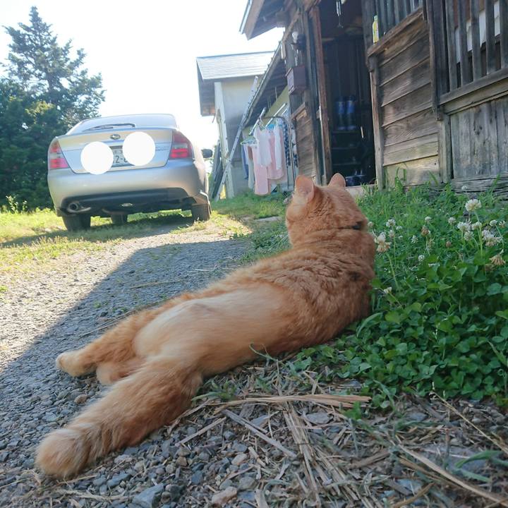 8963fb55 d75b 455b 9933 9ae766312250 1656752208169